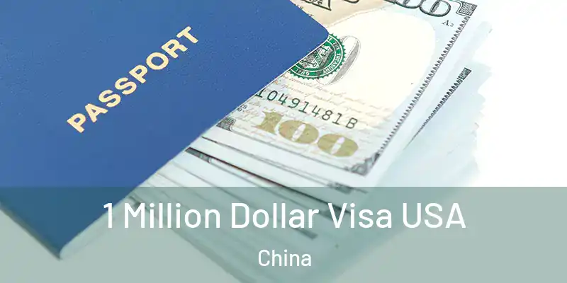 1 Million Dollar Visa USA China